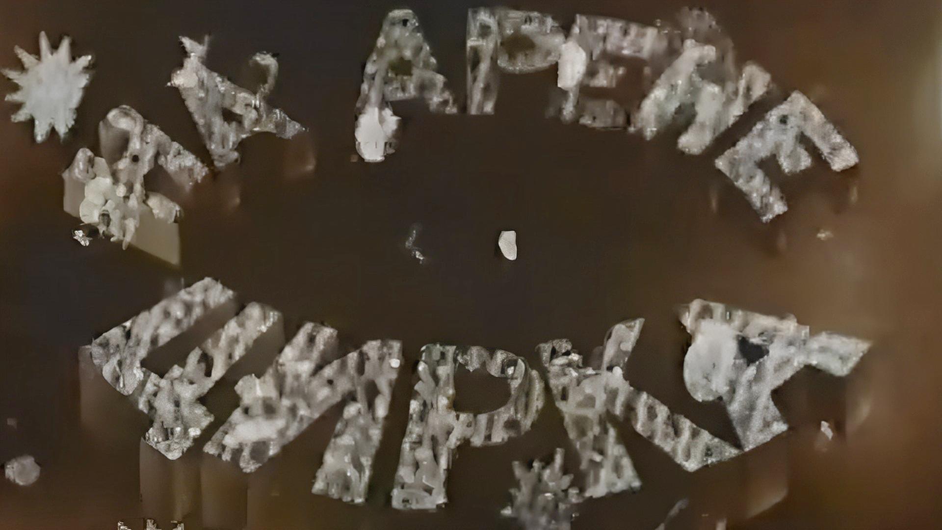 На арене цирка