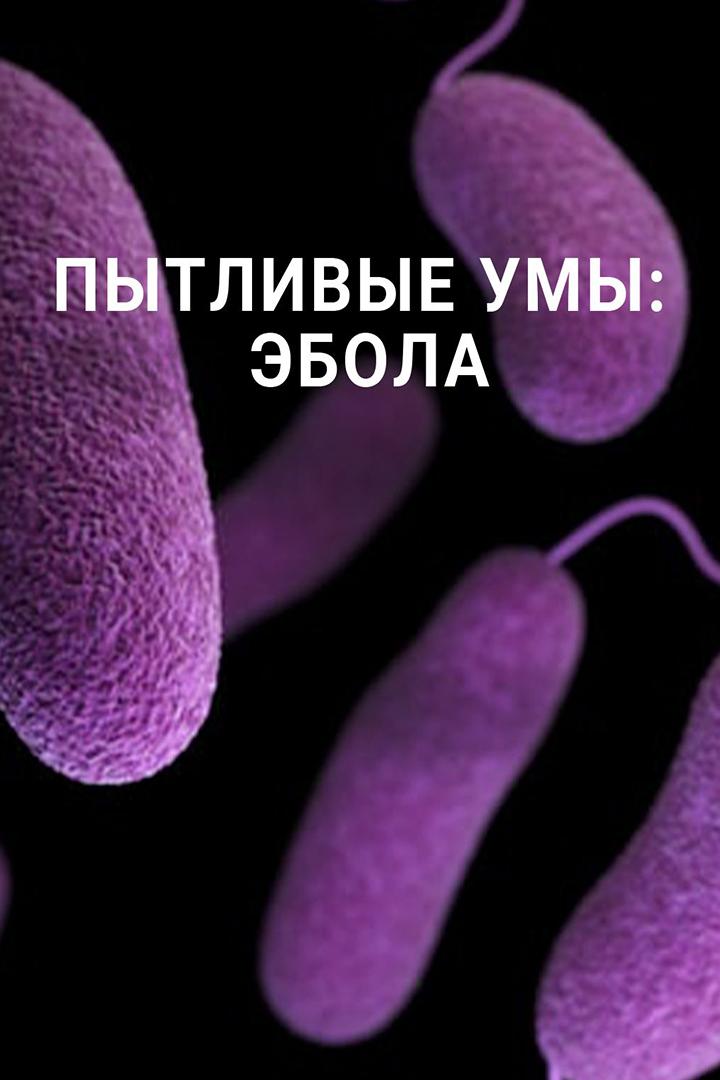 Пытливые умы: Эбола