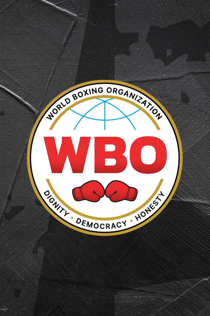 Профессиональный бокс. Тим Цзю против Тони Харрисона. Бой за титул чемпиона мира по версии WBO в первом среднем весе