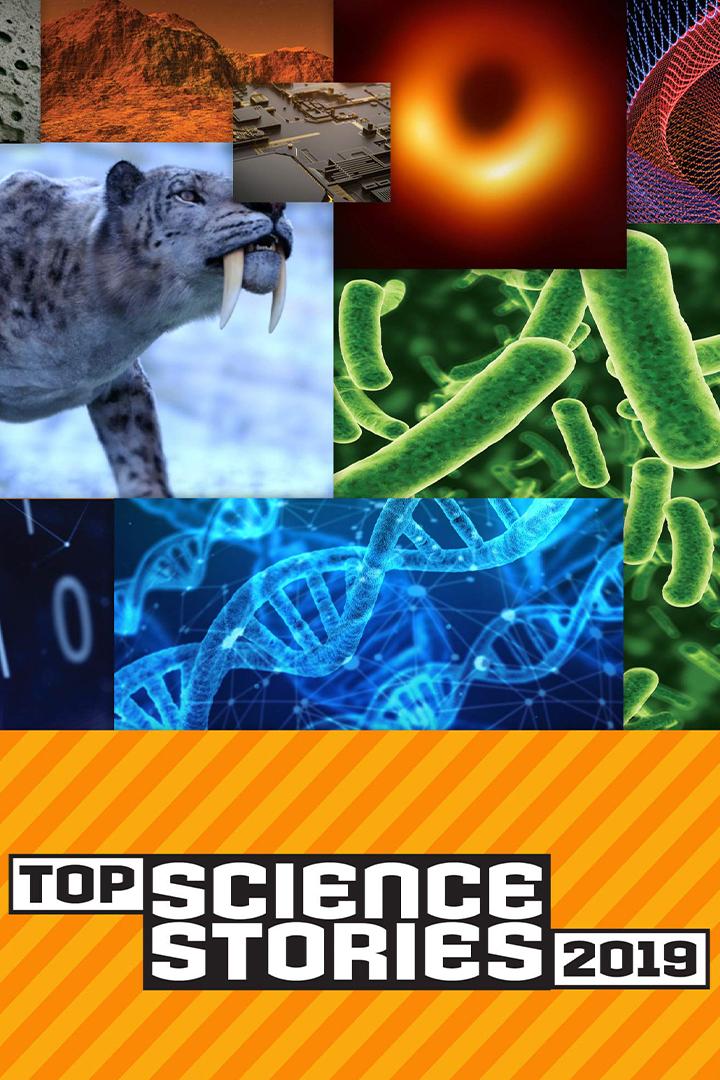 Главное в науке в 2019 году