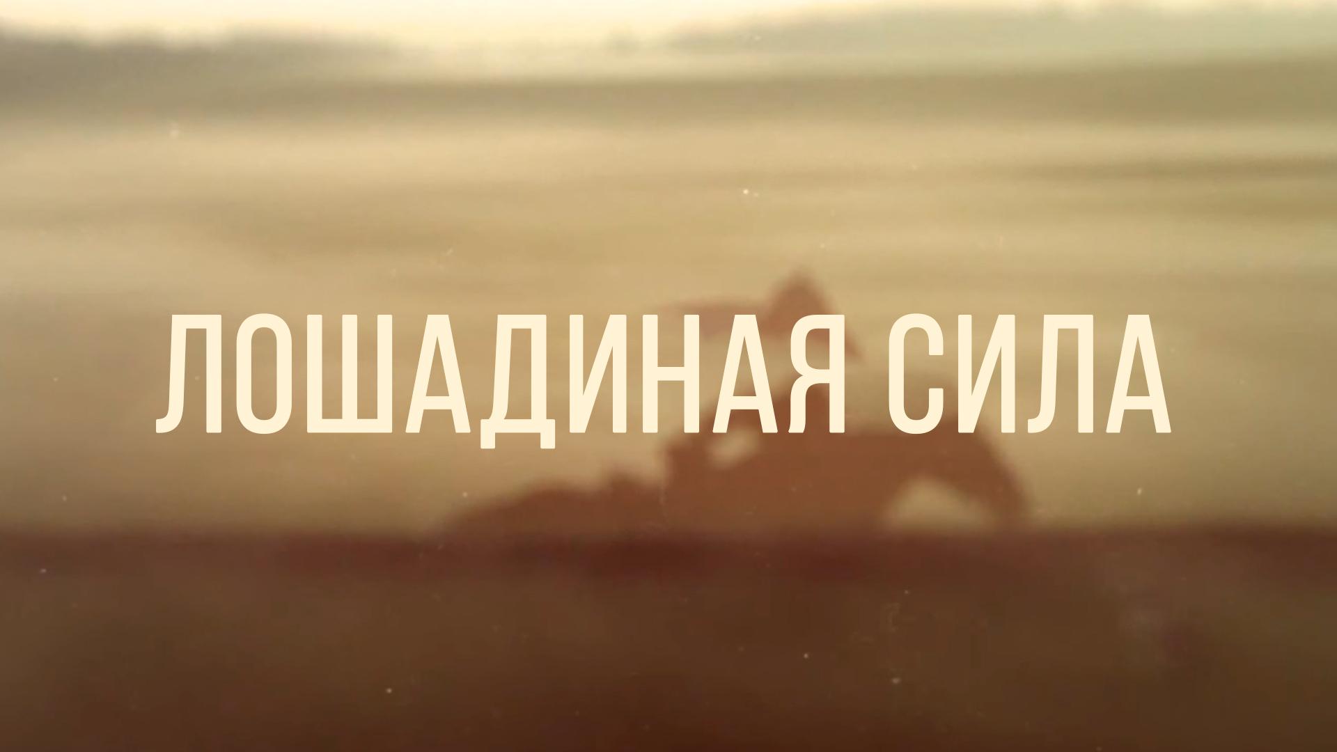 Лошадиная сила