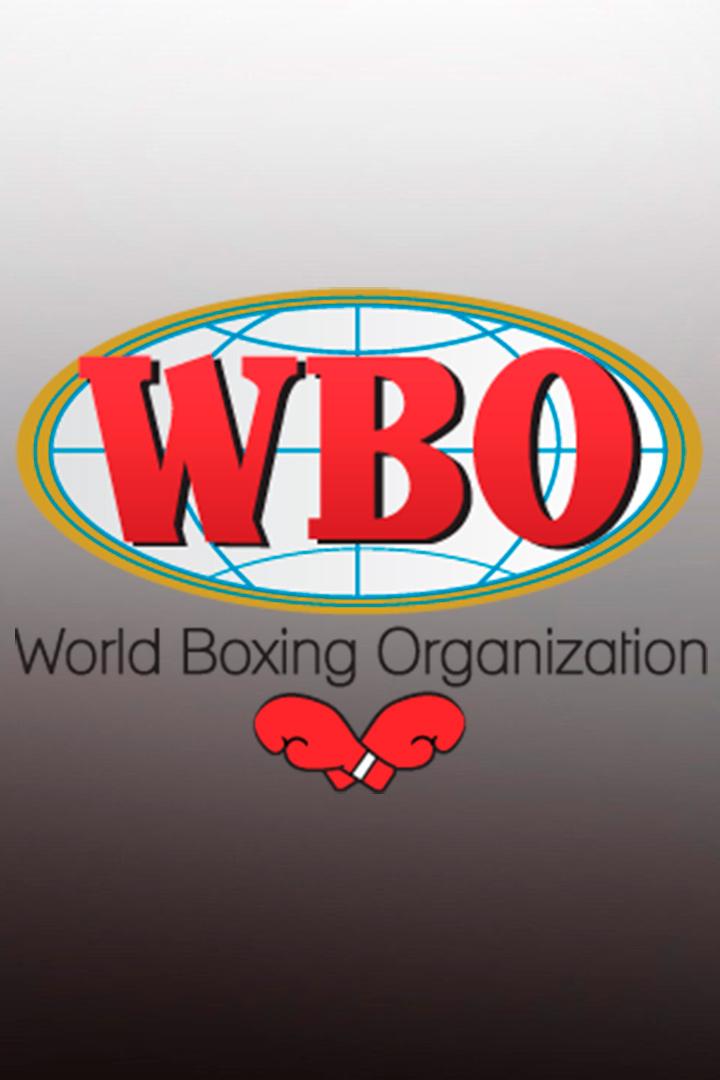 Профессиональный бокс. Лоуренс Околи против Дэвида Лайта. Бой за звание чемпиона мира по версии WBO. Трансляция из Великобритании