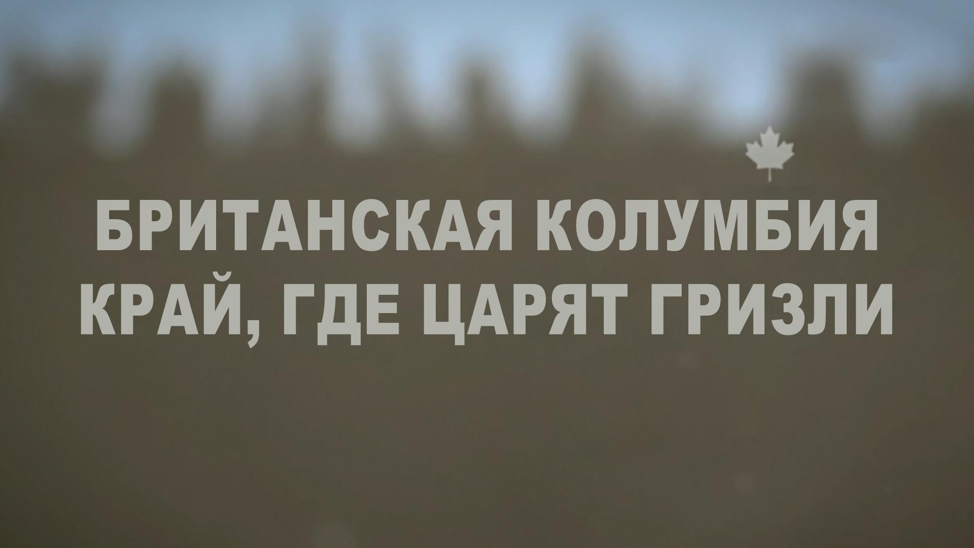 Британская Колумбия. Край, где царят гризли