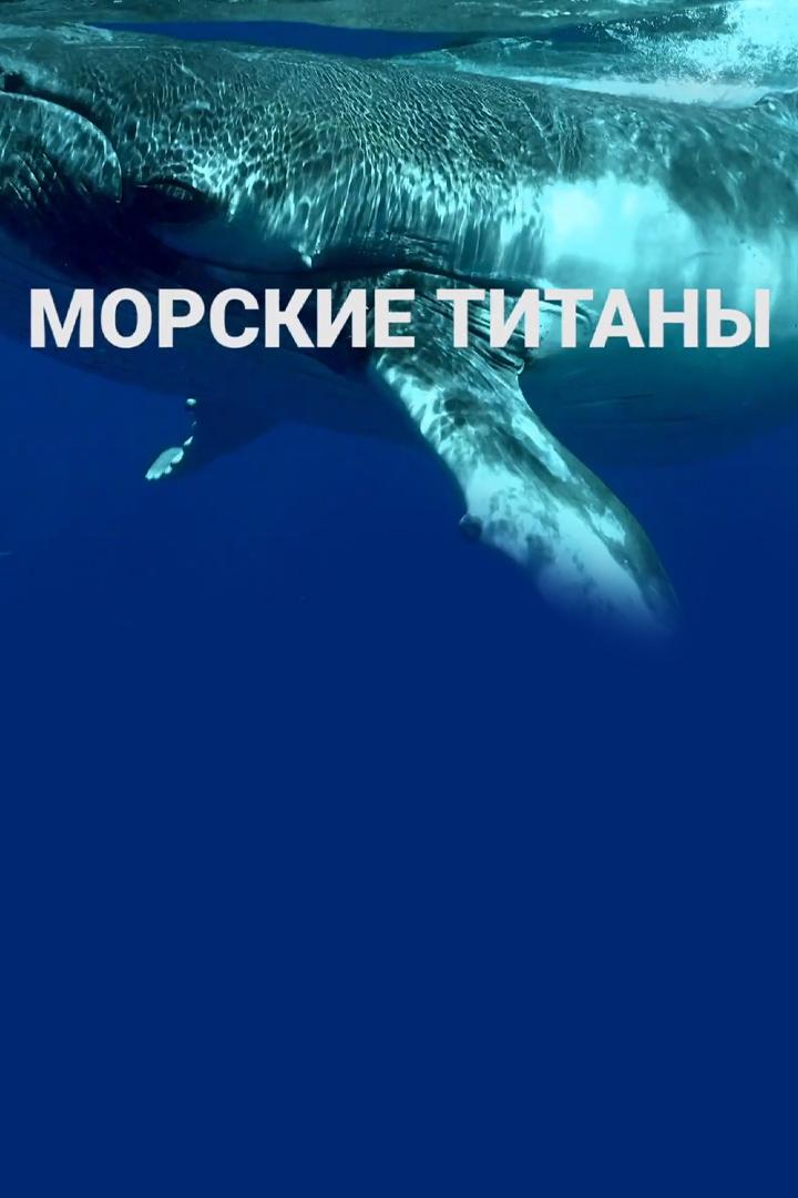 Морские титаны: обитатели глубин
