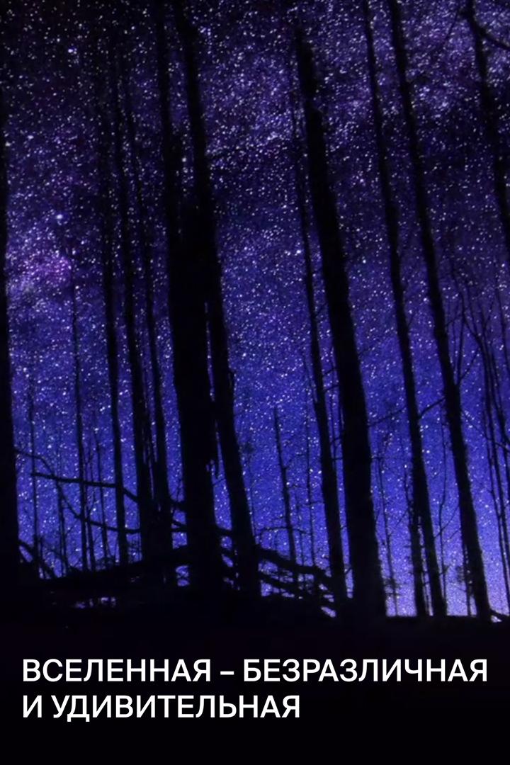 Вселенная - безразличная и удивительная