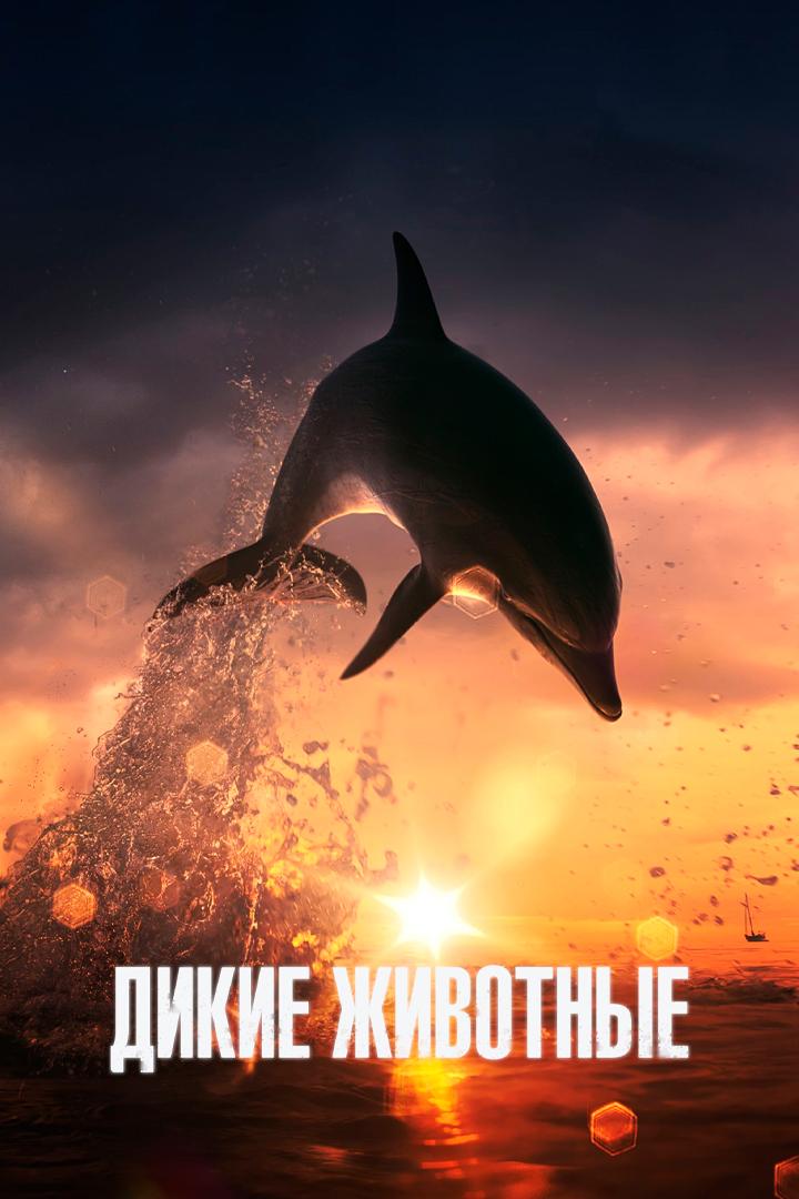 Дикие животные