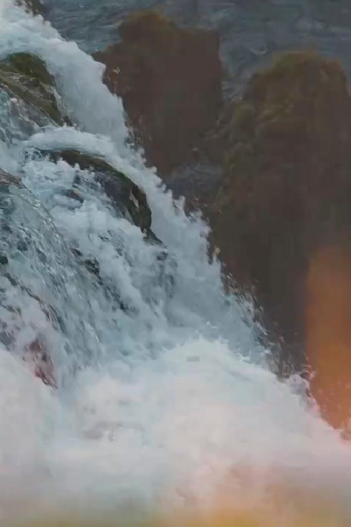 Свидание с природой