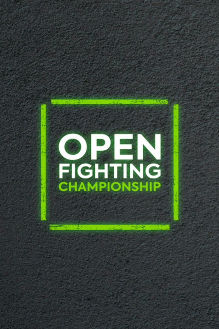Смешанные единоборства. Лига OPEN FC