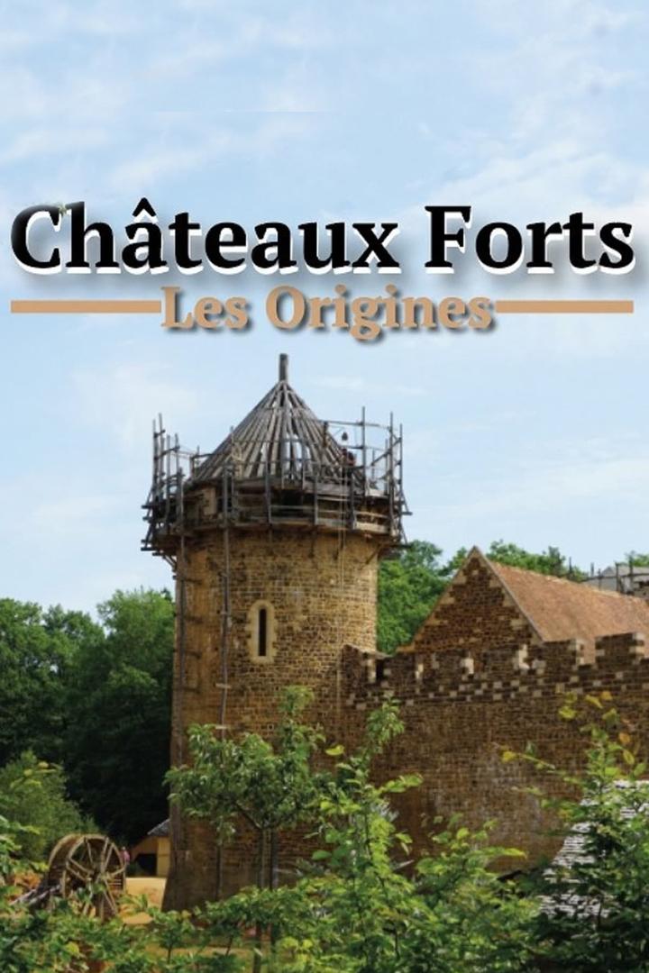 Укреплённые замки: Истоки