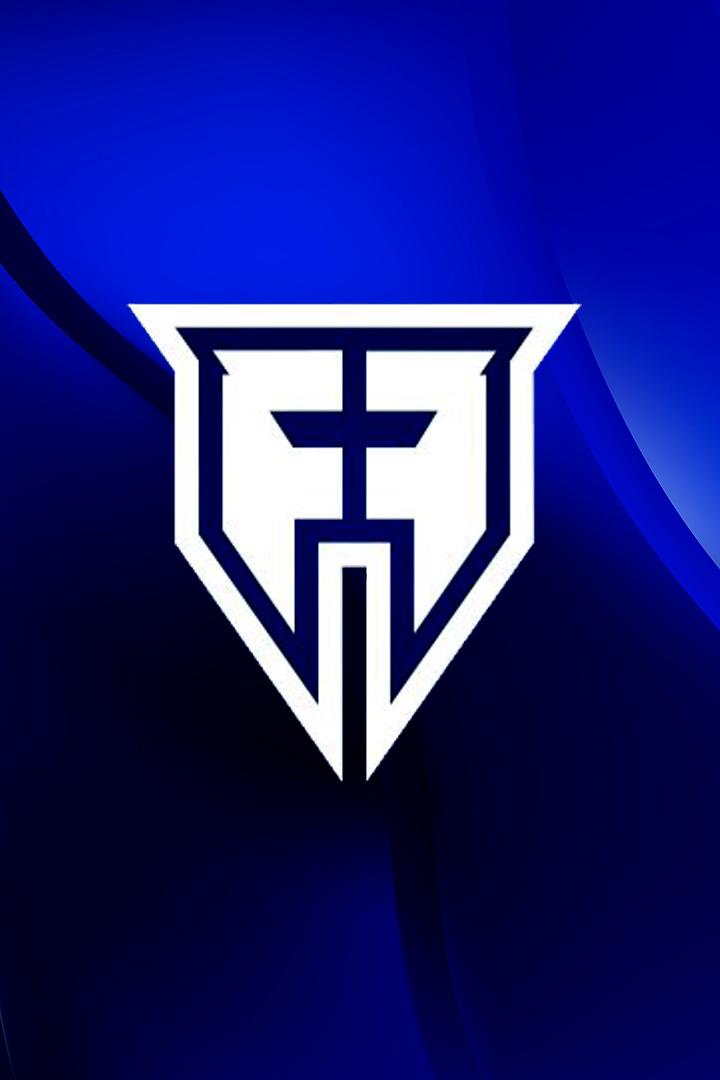 Шоу "Честный бой III" (кикбоксинг, ММА). Карась-Озерский (Россия). Бои по правилам Fair Fights (профессионалы + мма, профессионалы)