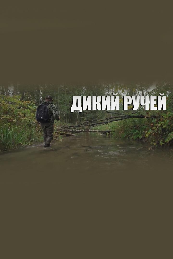 Дикий ручей