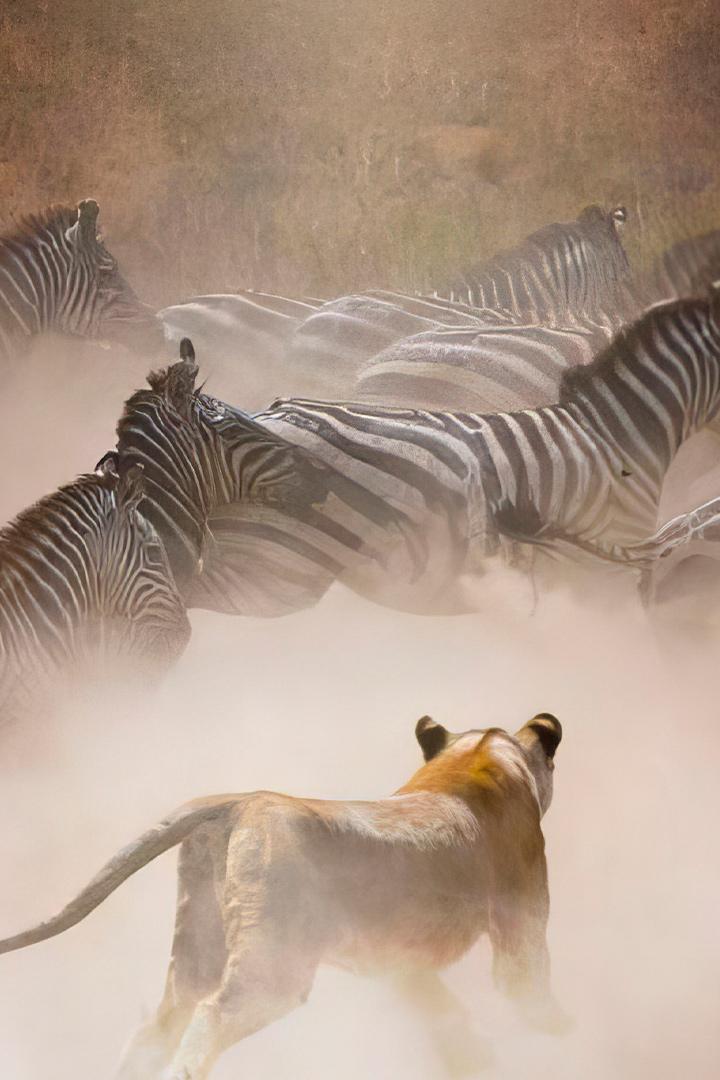 Быстрые атаки природы