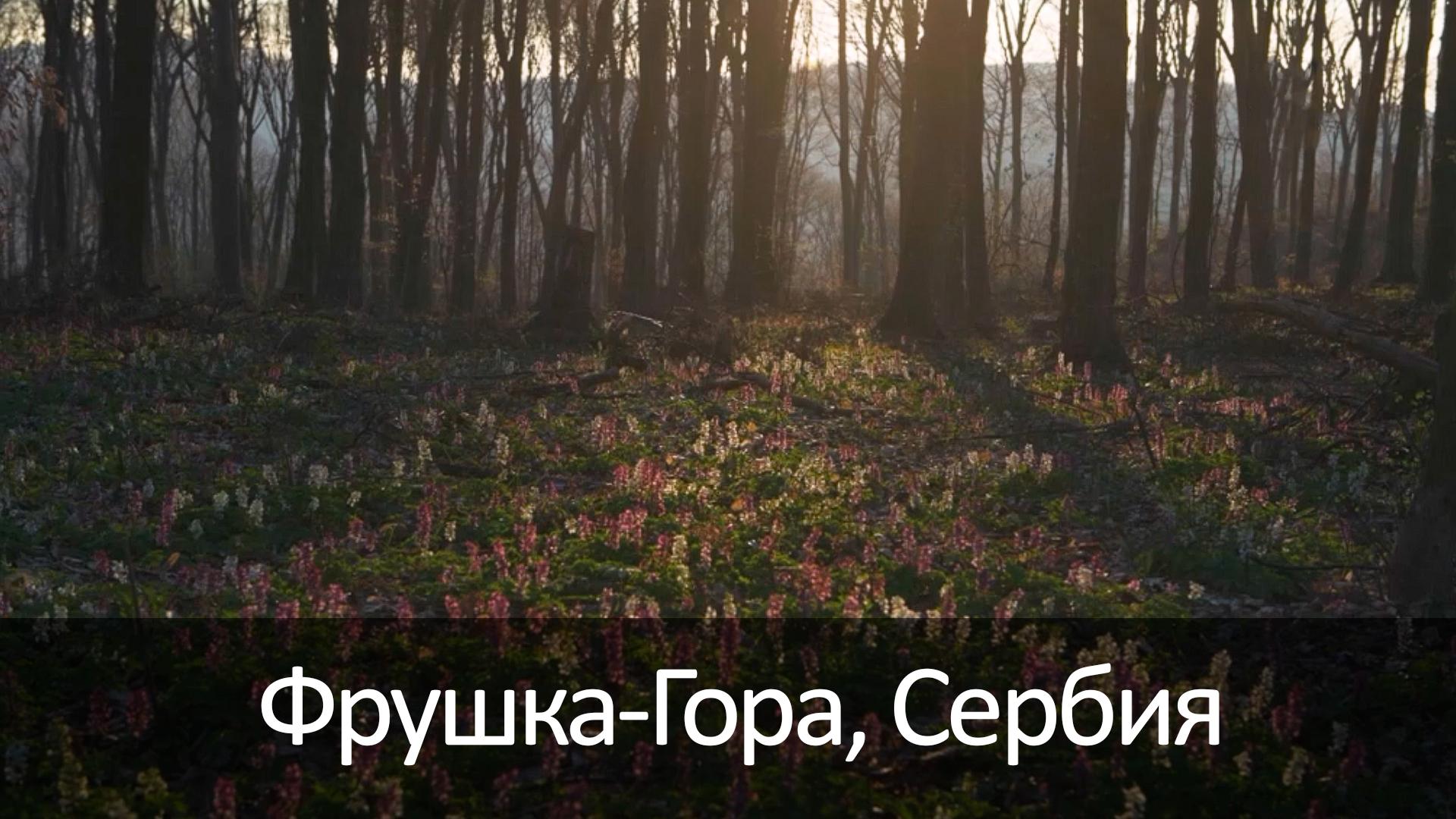 Фрушка-Гора, Сербия