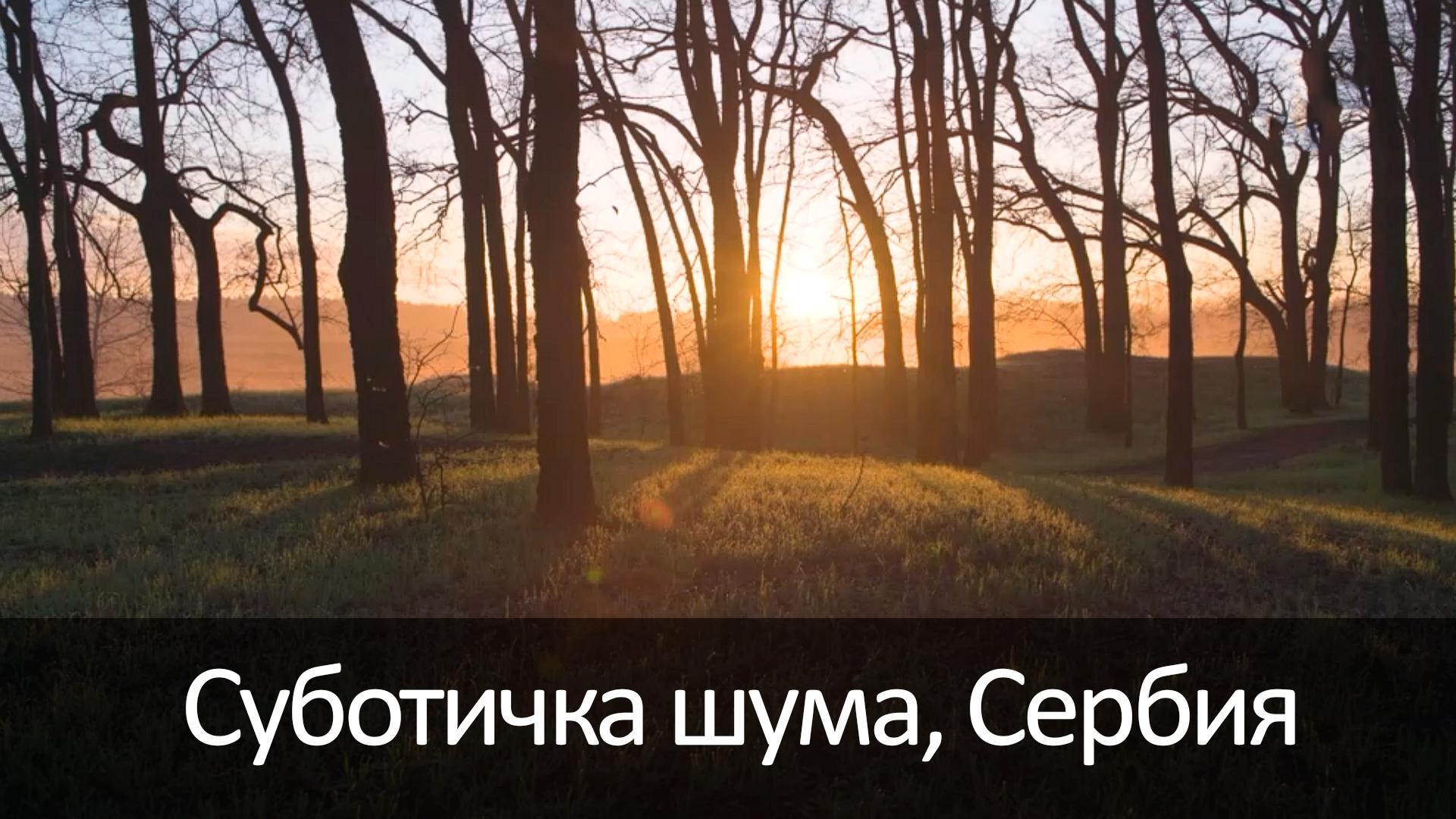 Суботичка шума, Сербия