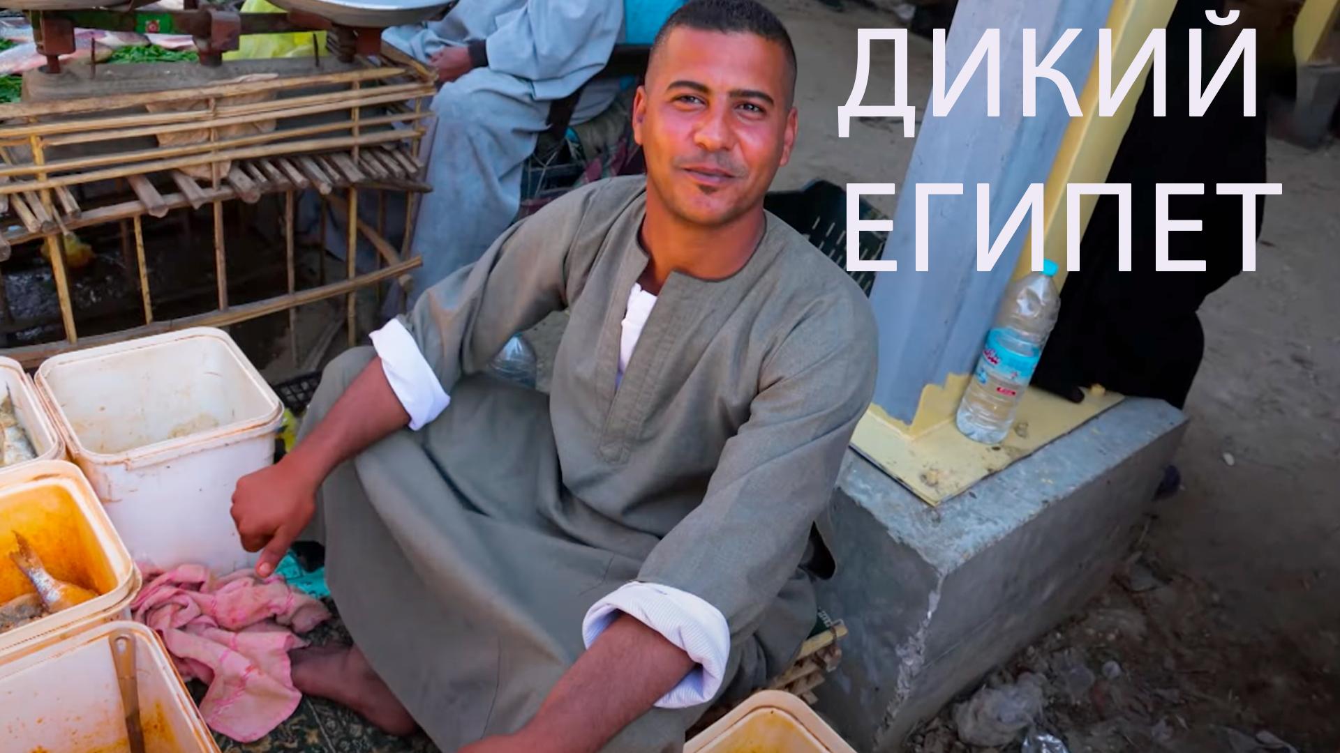 Дикий Египет