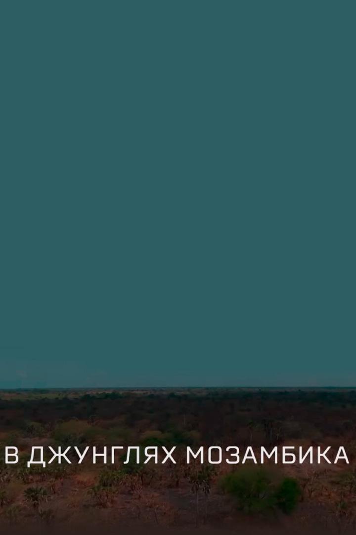 В джунглях Мозамбика