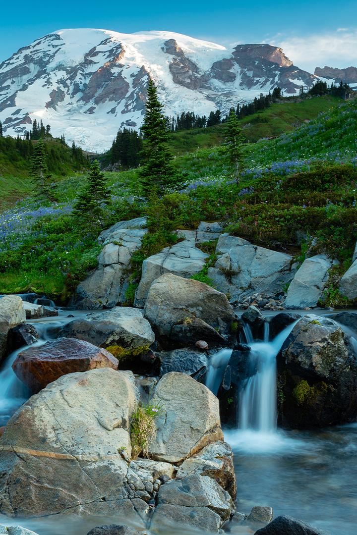 Ручей. Черногория