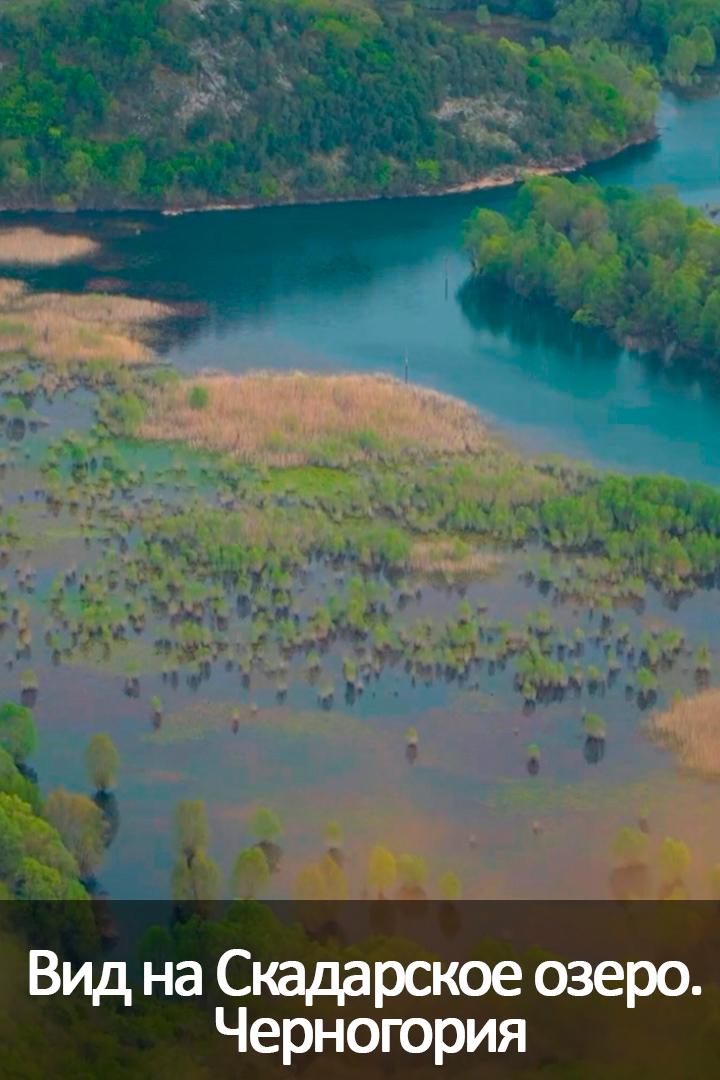 Вид на Скадарское озеро. Черногория