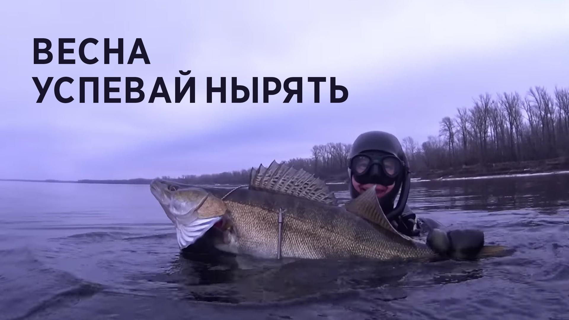 Весна. Успевай нырять