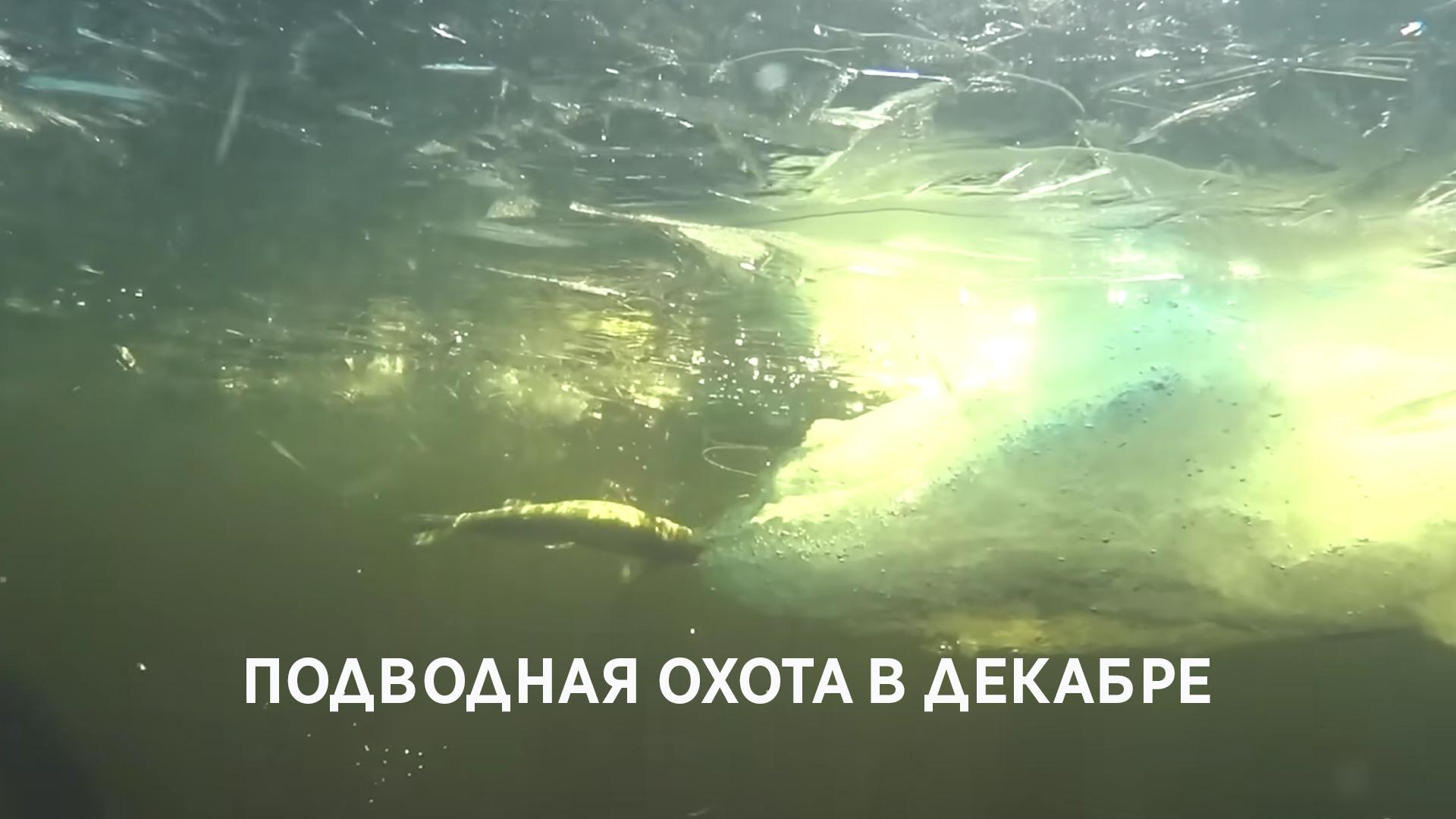 Подводная охота в декабре