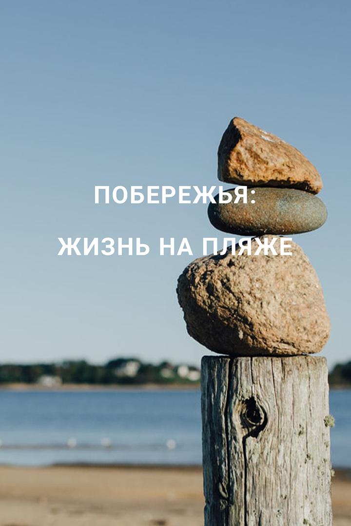 Побережья: жизнь на пляже