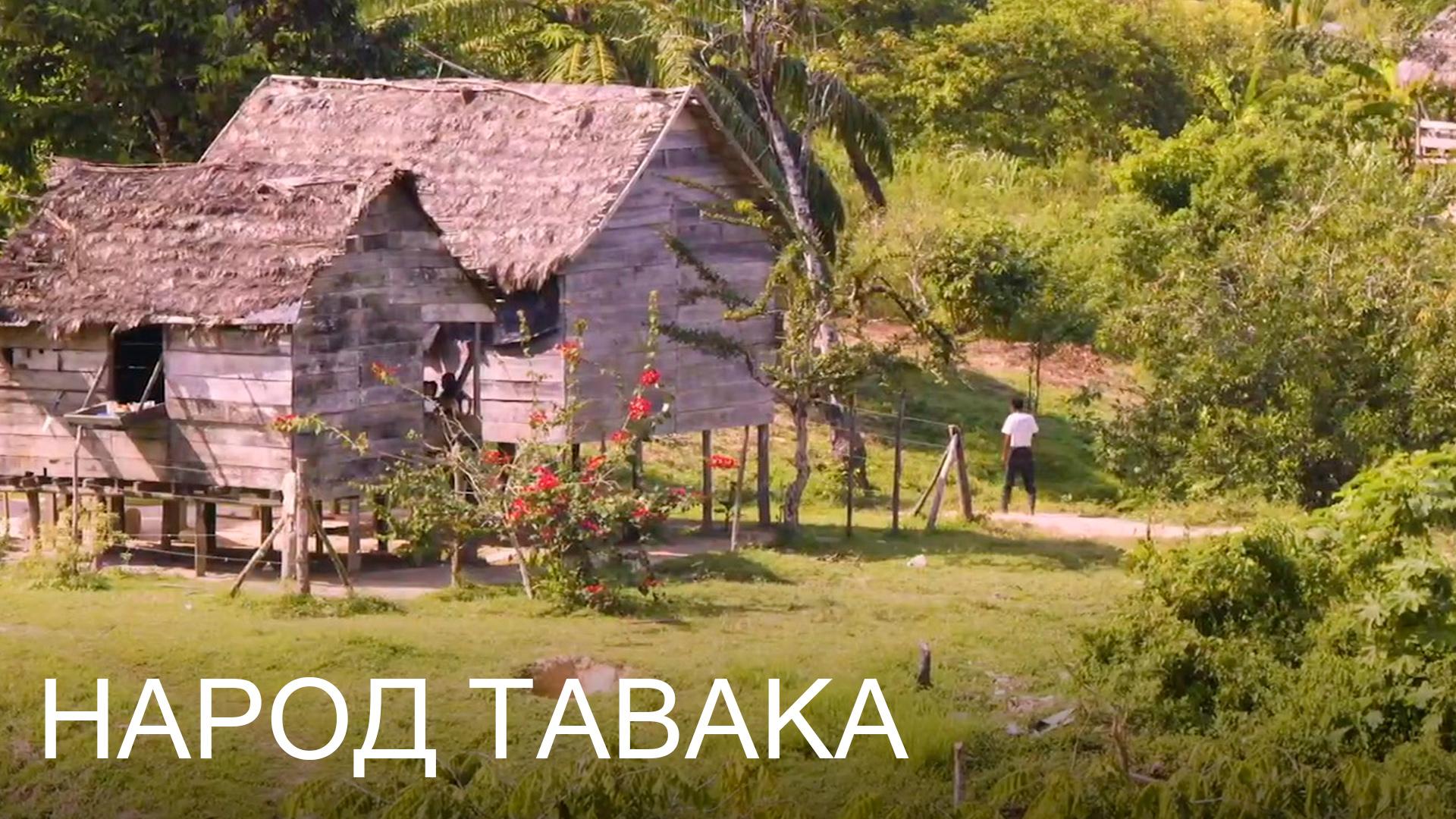 Народ тавака