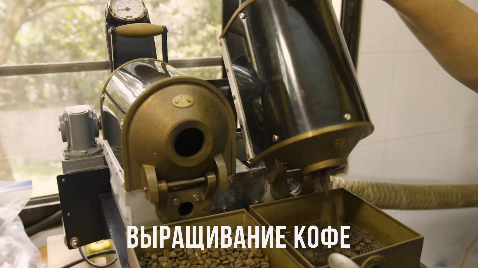 Выращивание кофе