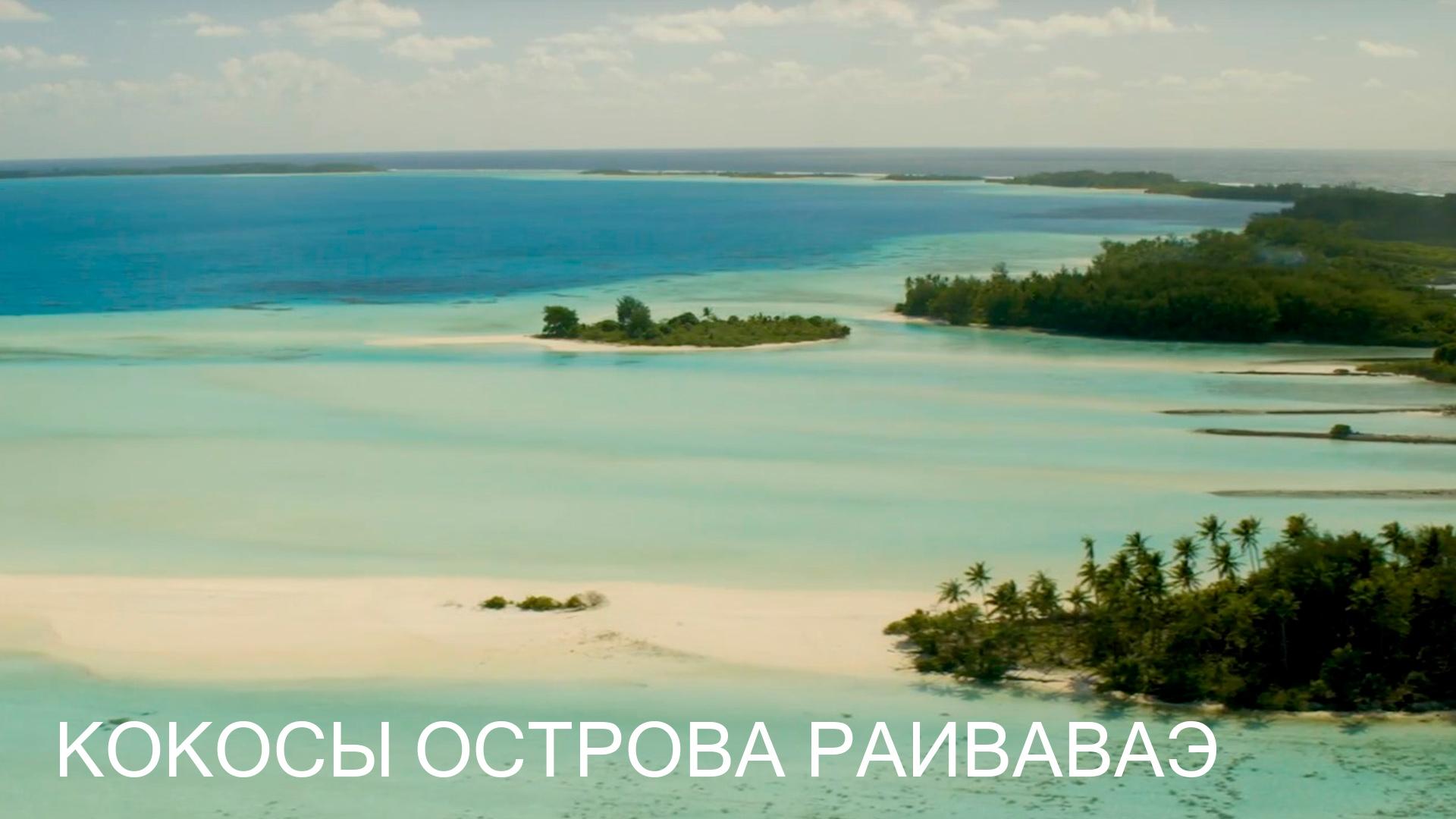 Кокосы острова Раиваваэ