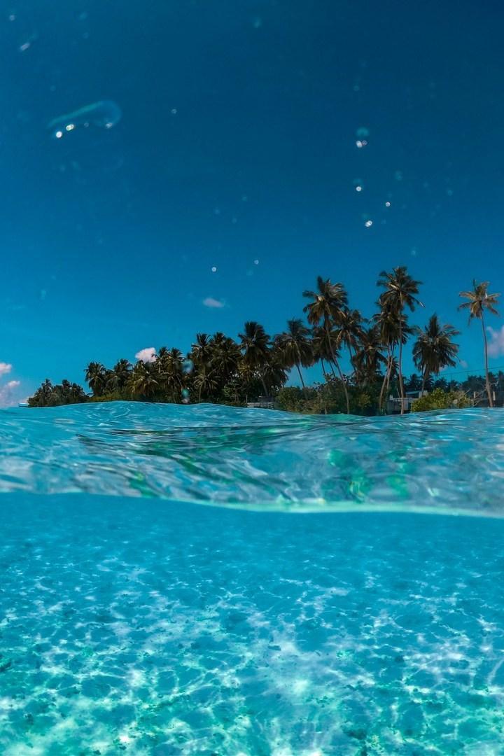 Природа Мартиники