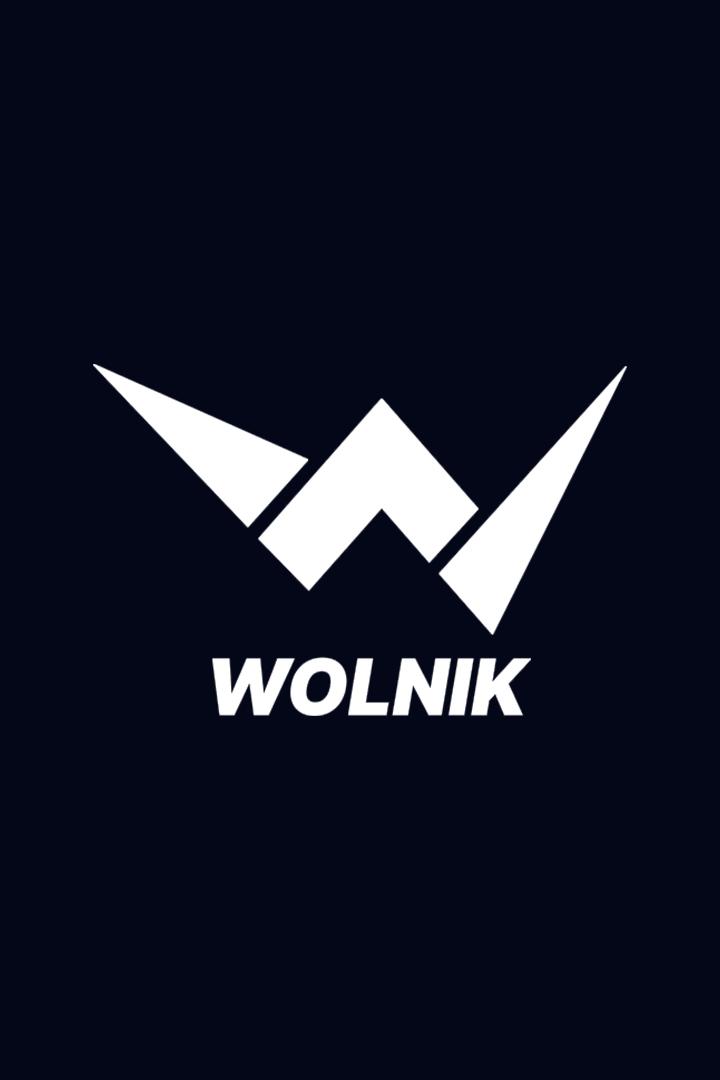 Борьба. Лига борьбы WOLNIK. Мурад Мачаев против Самандара Муродова. Александр Гуштын против Магомедгаджи Нурова. Трансляция из Москвы