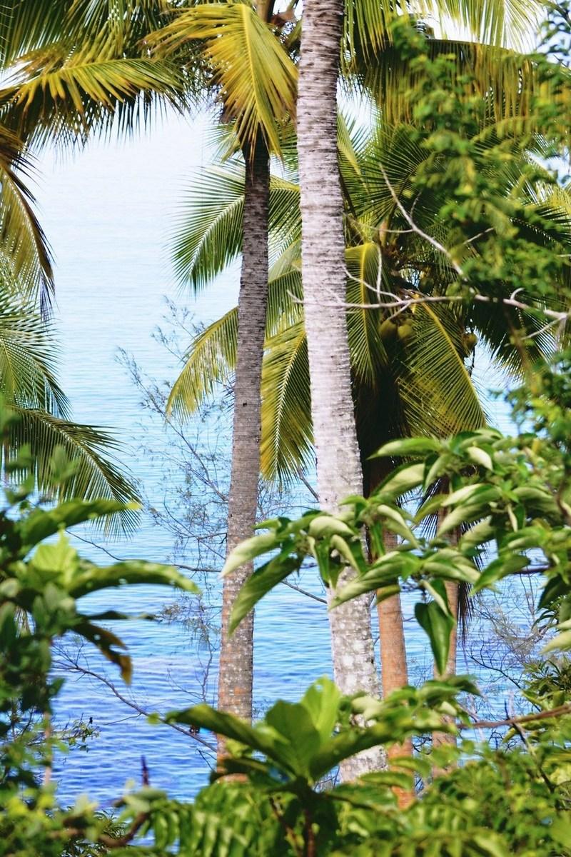 Уникальный ландшафт Новой Каледонии