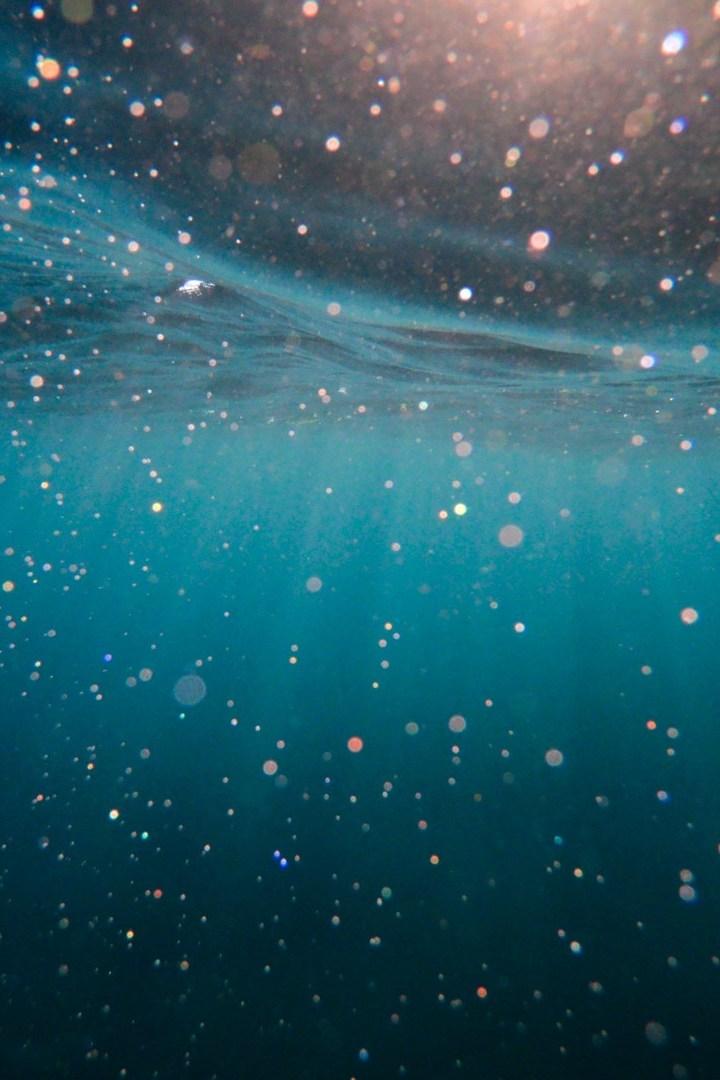 Подводные сокровища Ислас-де-ла-Баия