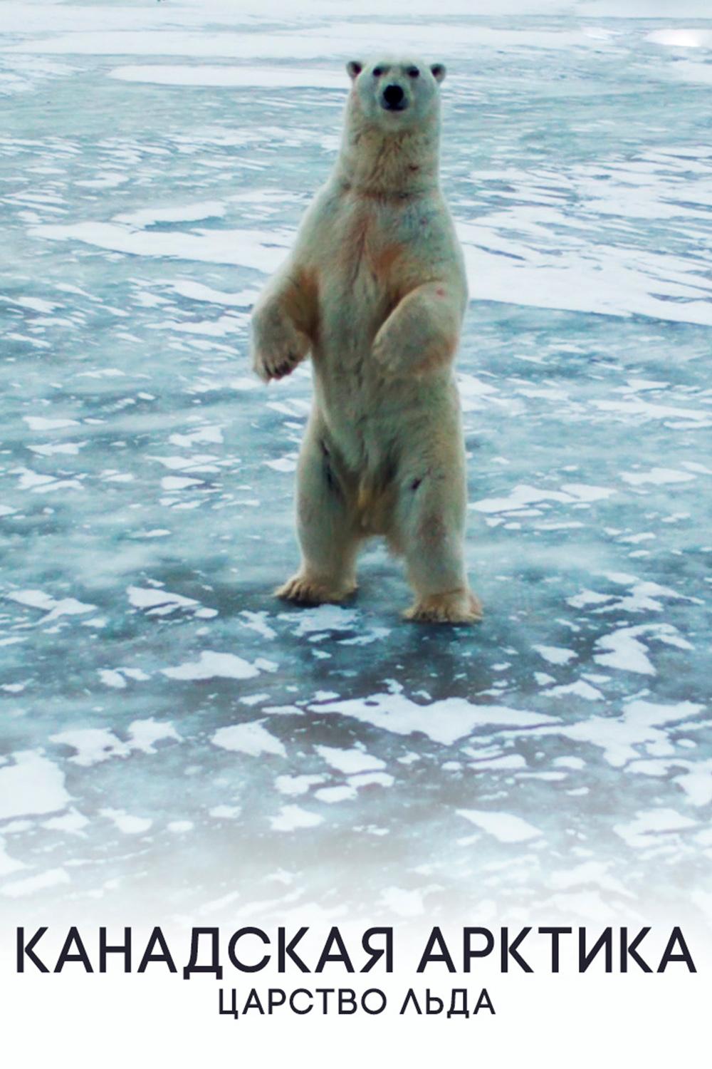 Канадская Арктика