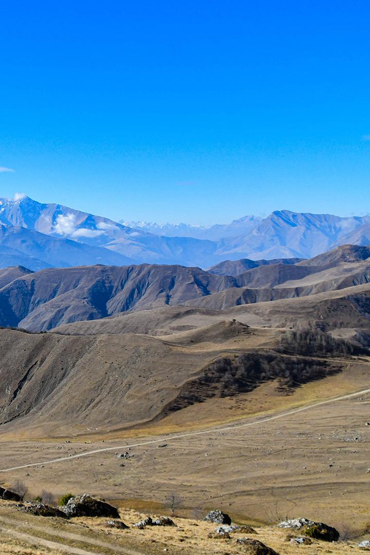 Лошади на холмах. Ингушетия