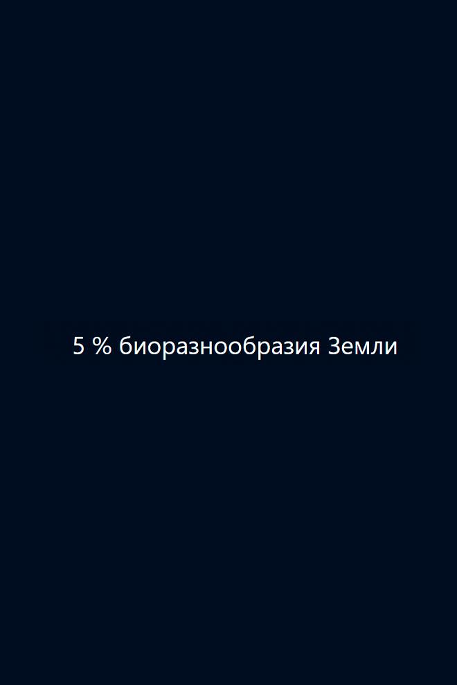 5 % биоразнообразия Земли