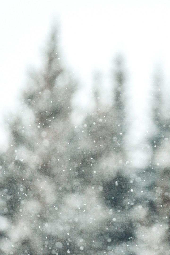 Плато Обрак зимой. Франция