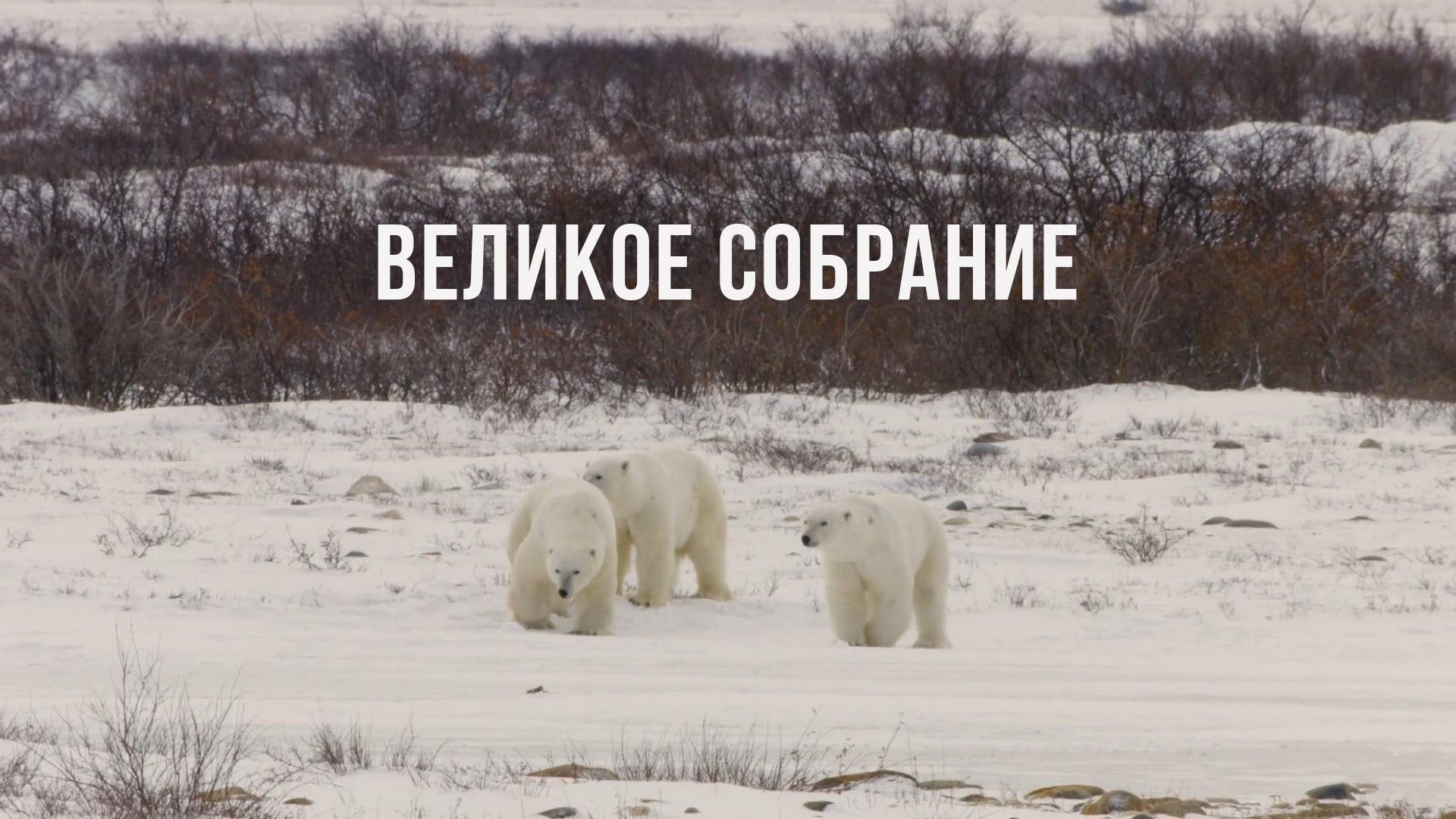 Великое собрание