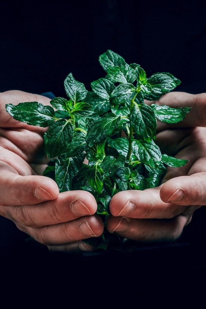 Хрупкая экосистема