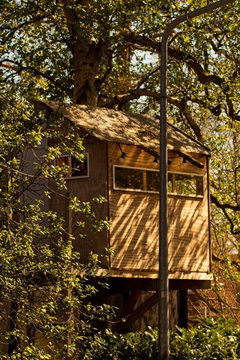 Строительство домов на верхушках деревьев