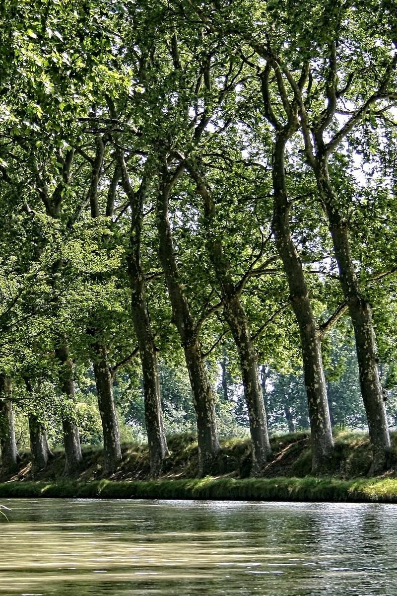 Канал дю Миди и Каркассон