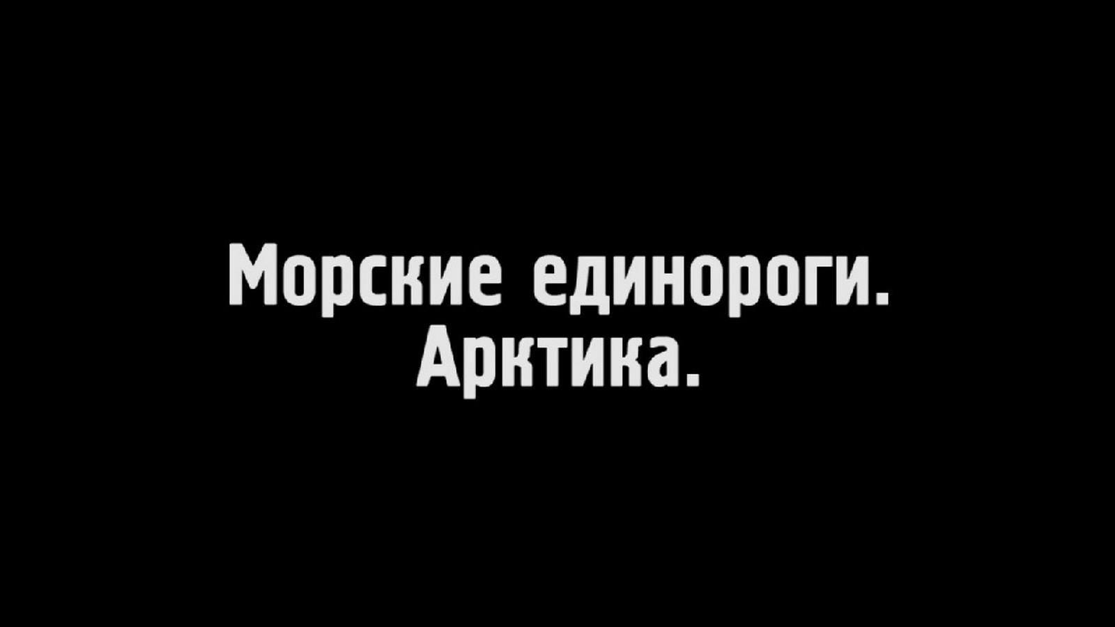 Морские единороги