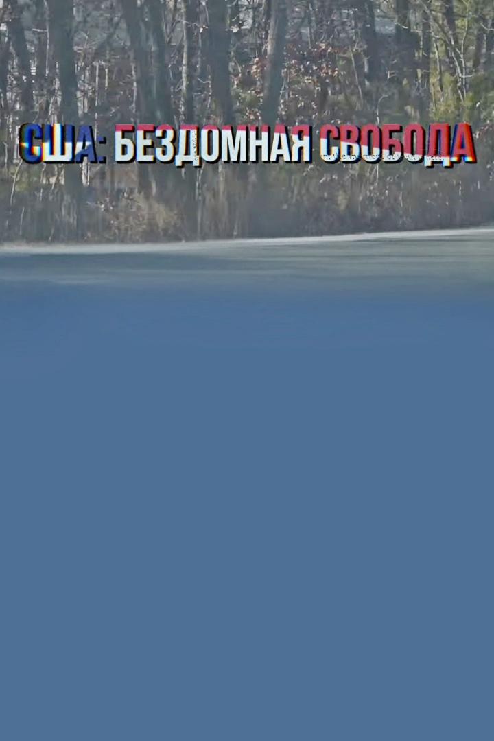 США: бездомная свобода