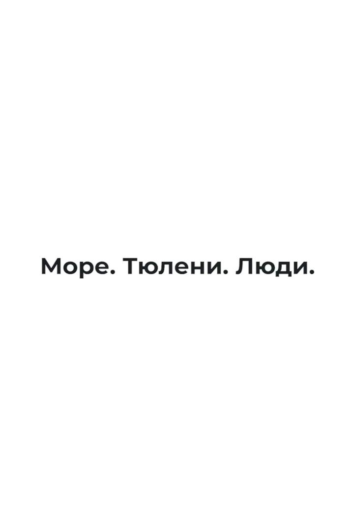 Море. Тюлени. Люди