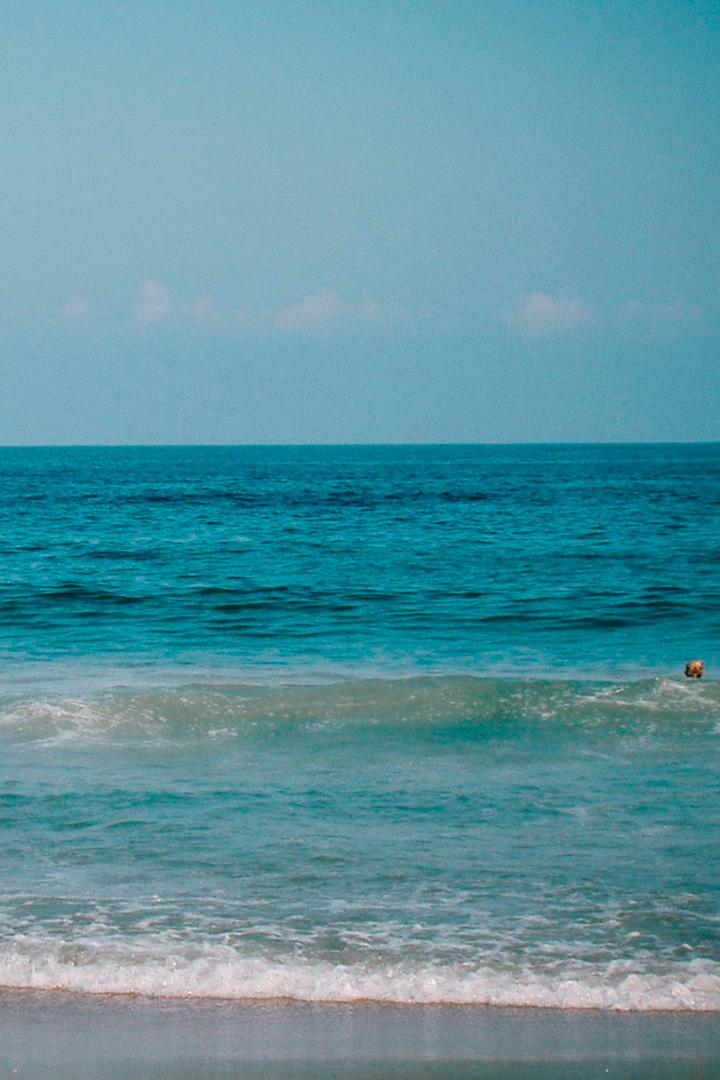 Присматривая за Тихим океаном