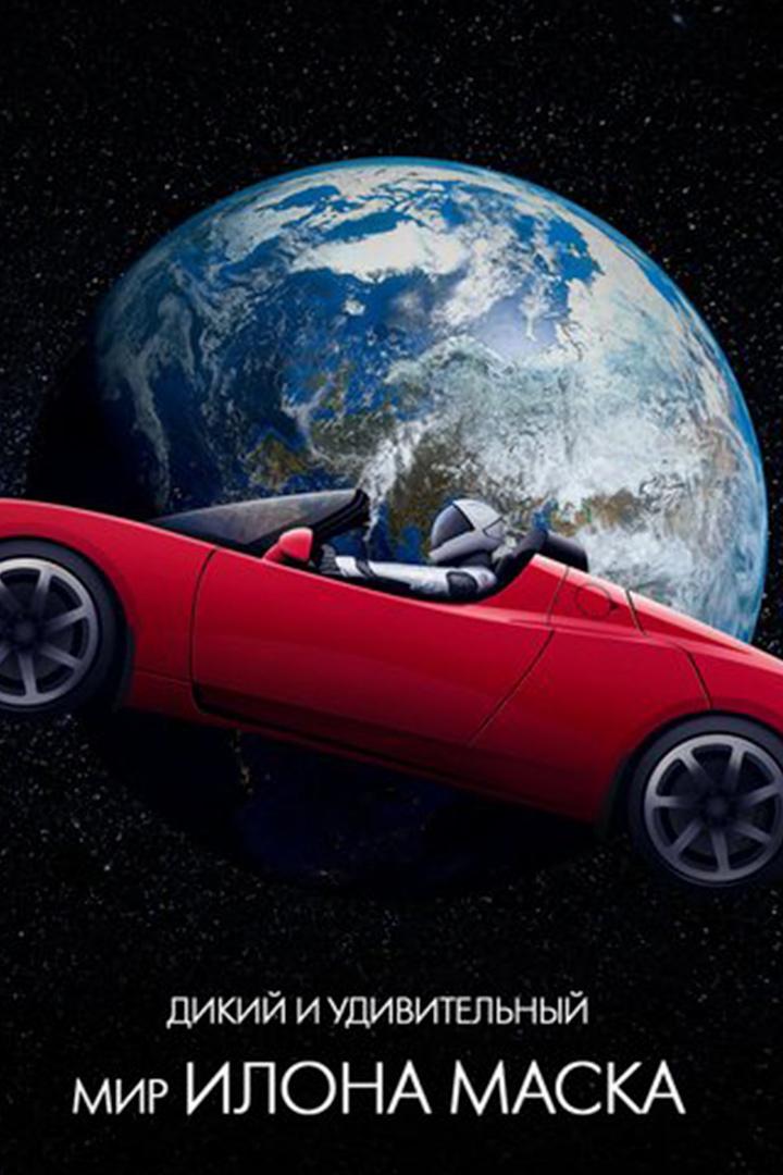 Дикий и удивительный мир Илона Маска