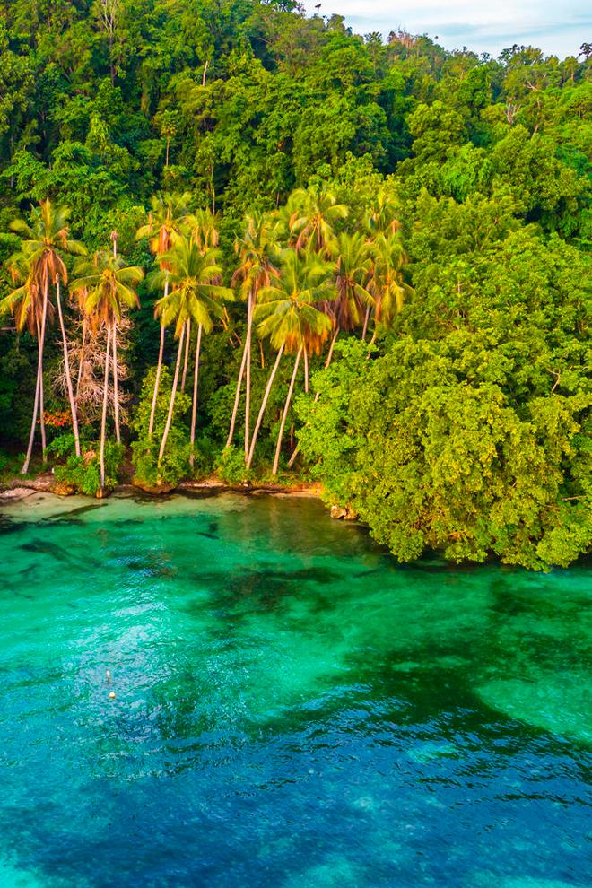 Западное Папуа