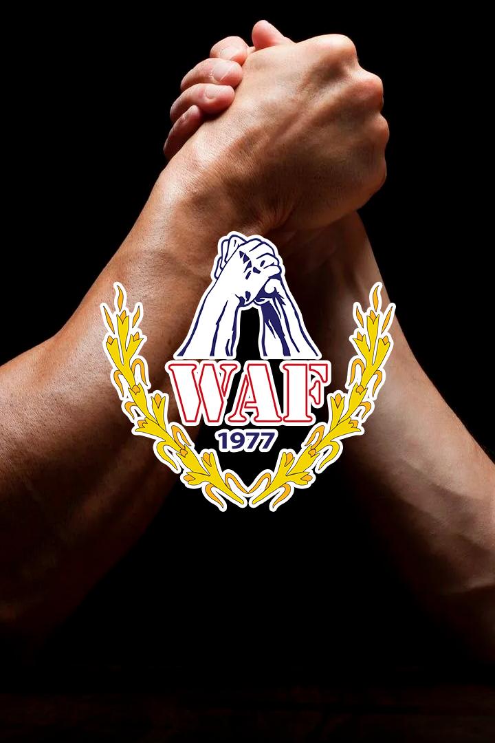 Армрестлинг. Вершина А-13