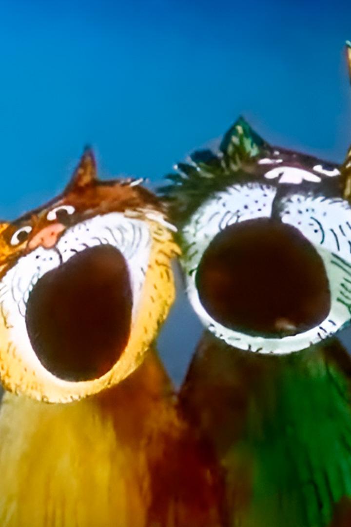 Кошачий концерт