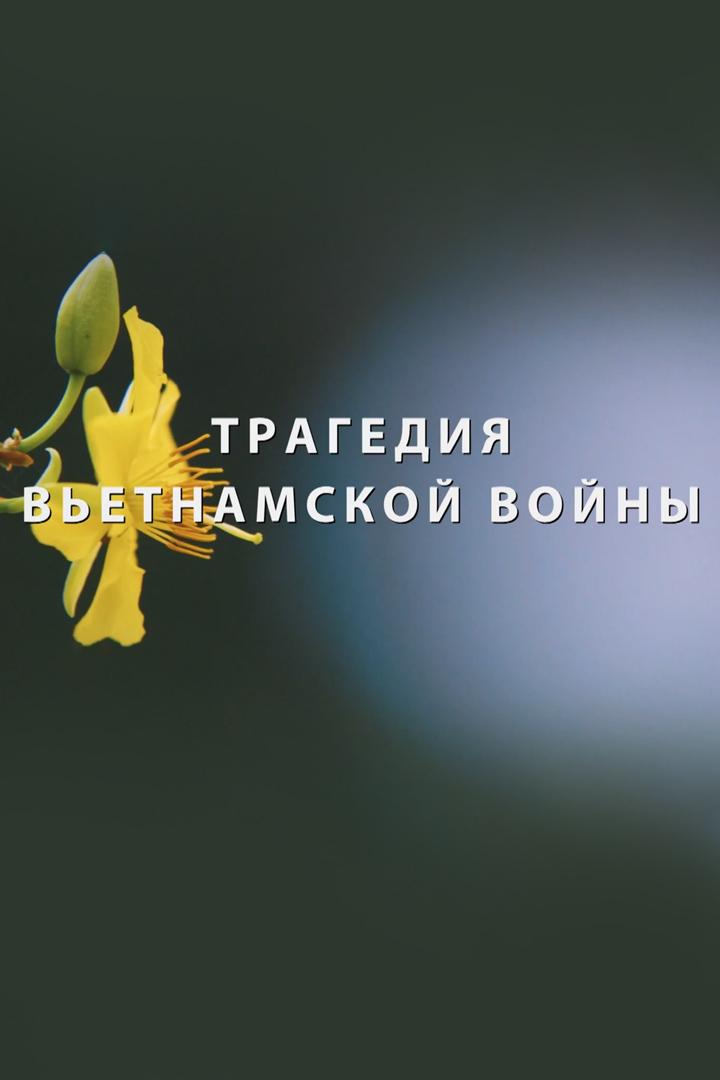 Трагедия вьетнамской войны