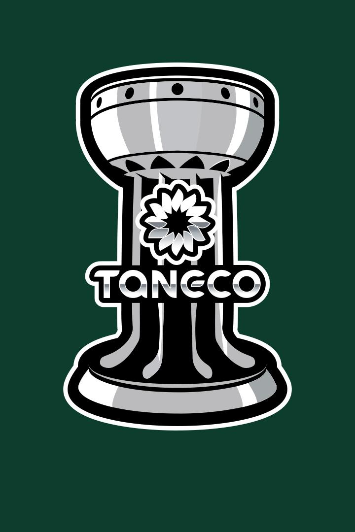 Кубок Taneco. "Локомотив" -"Барыс"